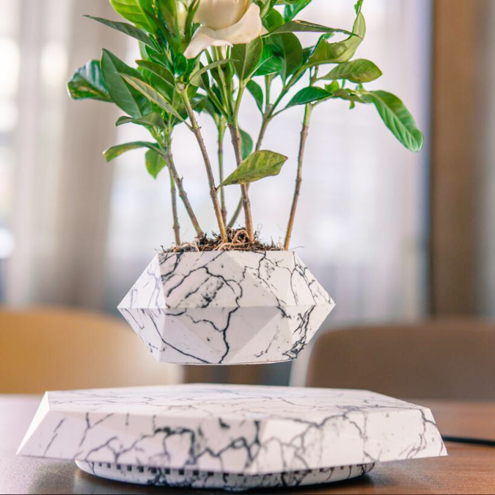 Levitating Magnetic Plant Pot | Modern Desk Decor & Unique Gift